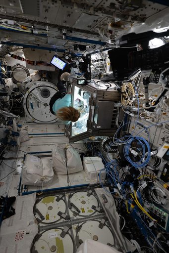 ESA astronaut Sophie Adenot works inside the Kibo laboratory module's Life Science Glovebox