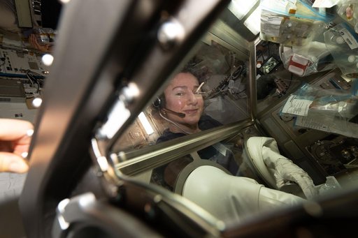 NASA astronaut Jessica Meir prepares blood‑making cell samples inside the Life Science Glovebox