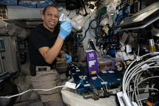 NASA astronaut Chris Williams activates sample‑containing tubes for student‑designed experiments
