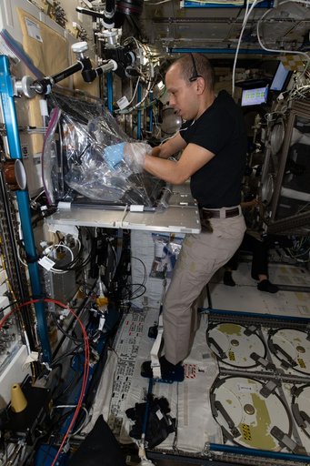 NASA astronaut Chris Williams works on the Space Cancer Therapeutics investigation