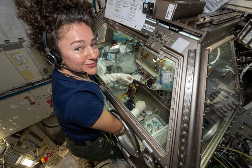 NASA astronaut Jessica Meir processes stem cell samples inside the Life Science Glovebox