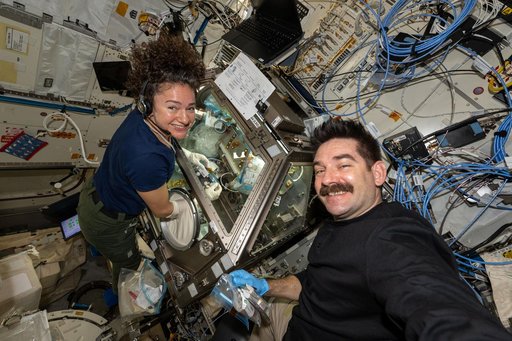 NASA astronauts Jessica Meir and Jack Hathaway work together to process stem cell samples