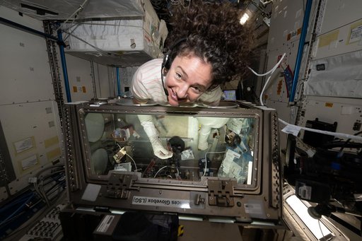 NASA astronaut Jessica Meir nourishes stem cell samples inside the Kibo laboratory module