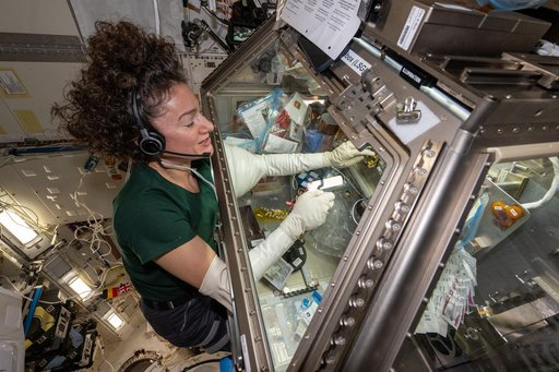NASA astronaut Jessica Meir processes blood platelet samples inside the Life Science Glovebox