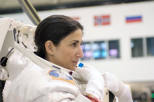 Expedition 18 crew member and JAXA astronaut Soichi Noguchi