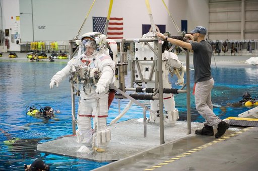 STS-129 crew members Mike Foreman, Randy Bresnik, Barry 'Butch' Wilmore and Robert Satcher