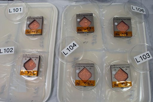 STS-132 Middeck Locker MA9L JAXA Coldbag