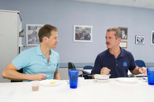 Expedition 34 Soyuz crew Tom Marshburn and Chris Hadfield during their food tasting