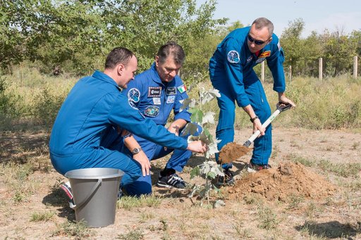 jsc2017e101932