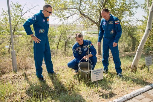 jsc2017e101935