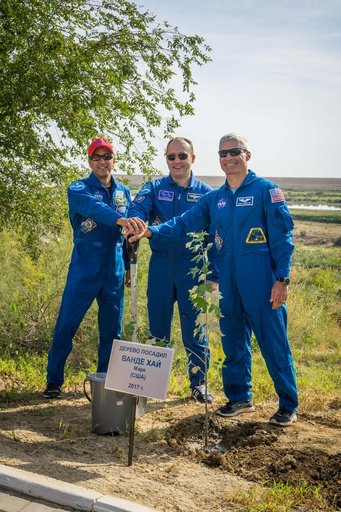 jsc2017e115212