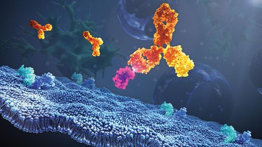 Monoclonal Antibody and Ligand