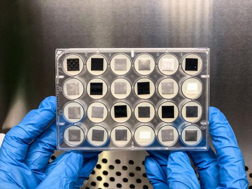 Space Biofilms 1