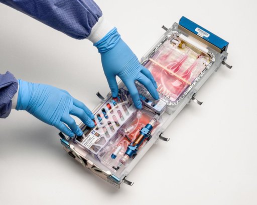 Bioculture System Facility