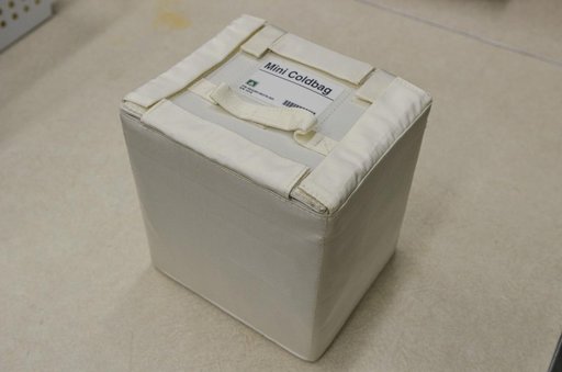 jsc2021e019955