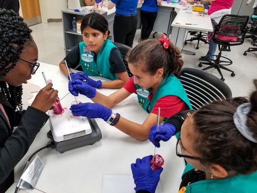 PRO Imagery Submittal - Faraday-Girl Scouts