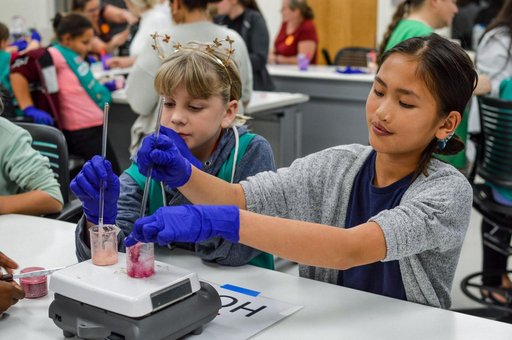 PRO Imagery Submittal - Faraday-Girl Scouts