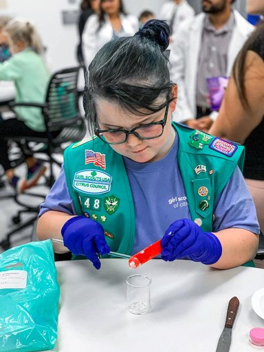 PRO Imagery Submittal - Faraday-Girl Scouts