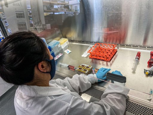 Immunosenescence