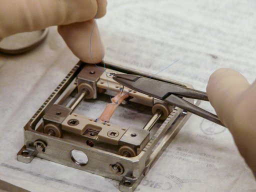 Suture In Space