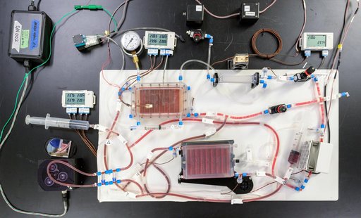 CapiSorb Visible System
