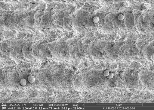 jsc2023e010177