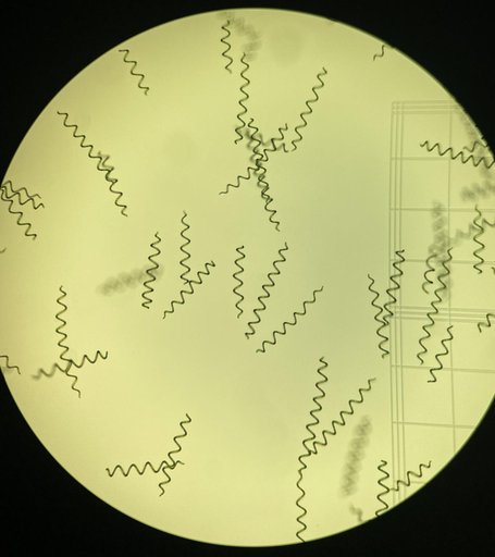 jsc2024e006100