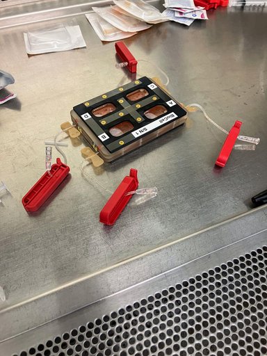 MeF1 Preflight Imagery