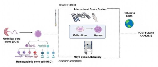jsc2026e014321