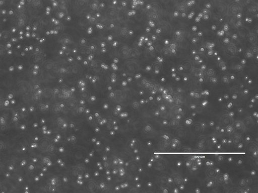 jsc2026e014322