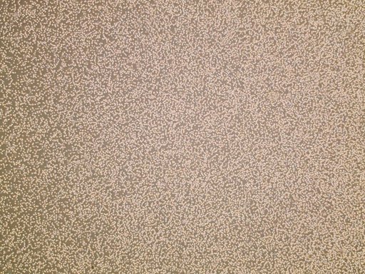 jsc2026e014323
