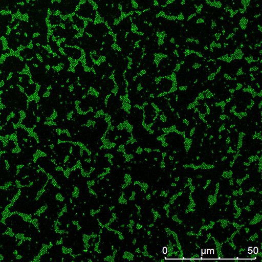 jsc2026e034370
