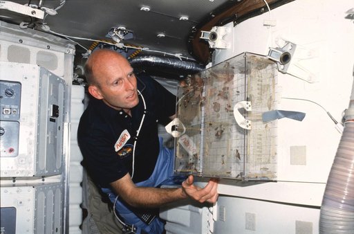 Pilot Fullerton examines SE-81-8 Insect Flight Motion Study