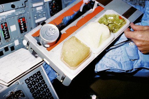 Space Shuttle food tray