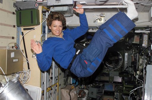 Collins in Service Module