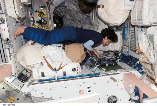 Williams works at laptop computer in the Node 1 during Joint Operations