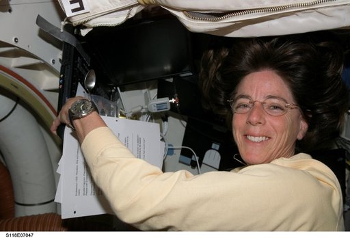 View of STS-118 MS Morgan working on the Shuttle Endeavour