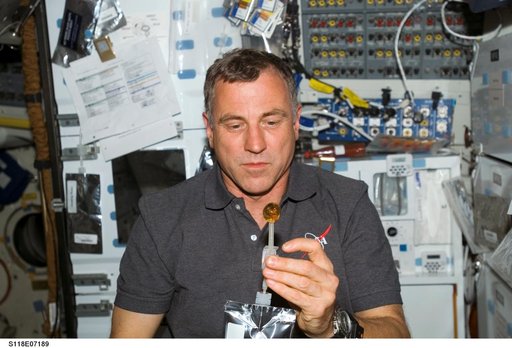 View of Williams on the MDDK during STS-118/Expedition 15 Joint Operations