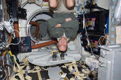 Arnold poses on Middeck (MDDK)