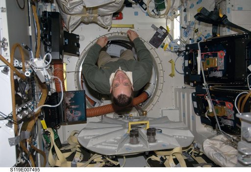 Arnold poses on Middeck (MDDK)