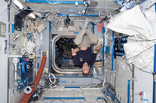 Garan in the Node 2 module