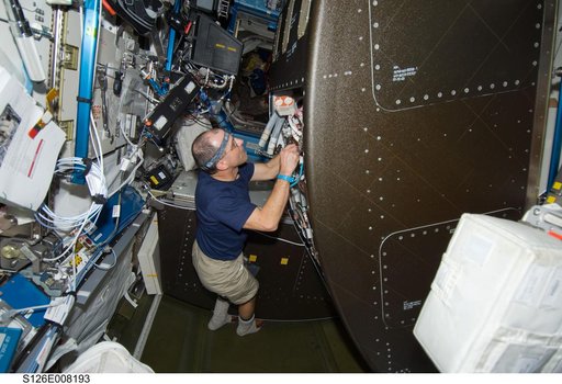 Pettit in US Lab