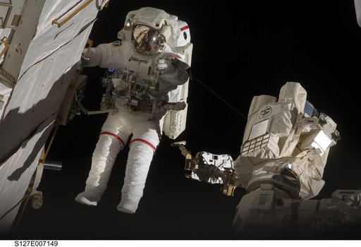 Wolf during EVA-2 on STS-127 / Expedition 20 Joint Operations