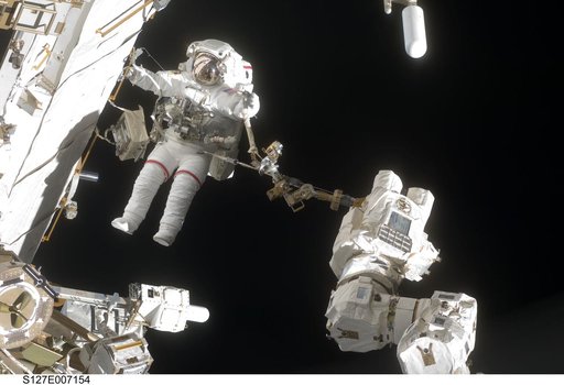 Wolf during EVA-2 on STS-127 / Expedition 20 Joint Operations