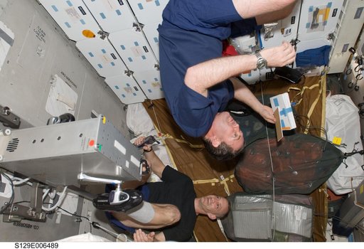 STS-129 Crew Members on the Middeck