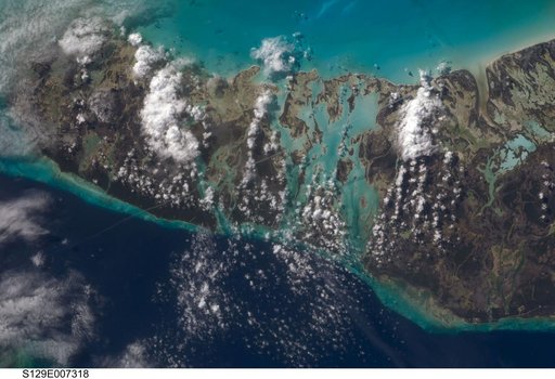 Earth Observation taken by the STS-129 Crew