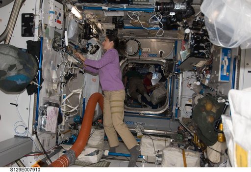 View of Expedition 21/STS-129 Crew Members working in the Node 2 during Joint Operations