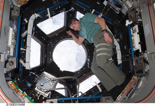 Zamka in the Cupola