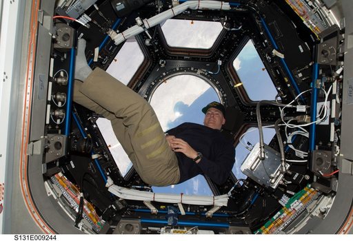Poindexter in Cupola