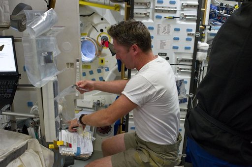 View of STS-134 MS Vittori working on the Middeck